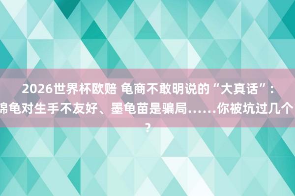 2026世界杯欧赔 龟商不敢明说的“大真话”:锦龟对生手不友好、墨龟苗是骗局……你被坑过几个?
