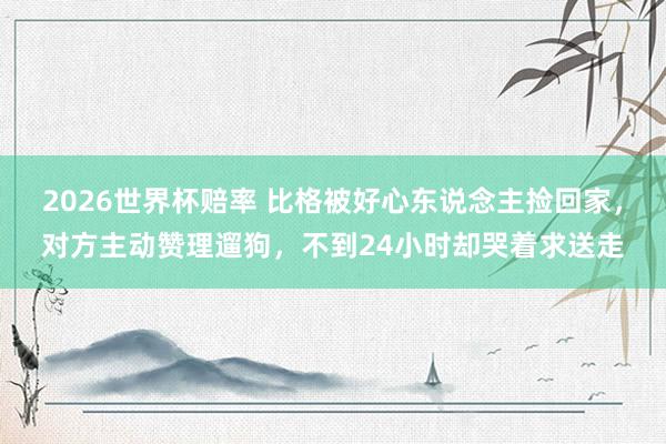 2026世界杯赔率 比格被好心东说念主捡回家，对方主动赞理遛狗，不到24小时却哭着求送走