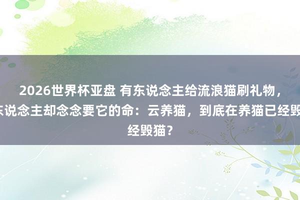 2026世界杯亚盘 有东说念主给流浪猫刷礼物,有东说念主却念念要它的命:云养猫,到底在养猫已经毁猫?