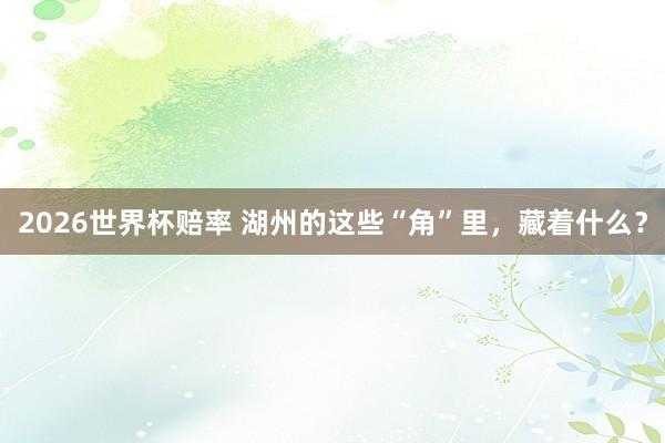 2026世界杯赔率 湖州的这些“角”里,藏着什么?