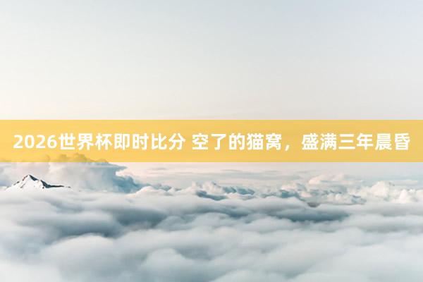 2026世界杯即时比分 空了的猫窝,盛满三年晨昏
