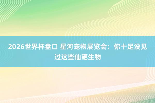 2026世界杯盘口 星河宠物展览会:你十足没见过这些仙葩生物