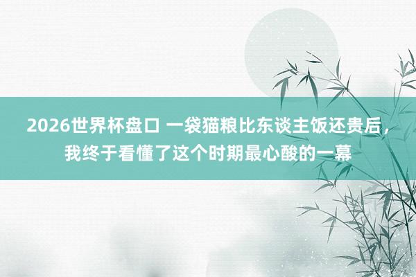 2026世界杯盘口 一袋猫粮比东谈主饭还贵后,我终于看懂了这个时期最心酸的一幕