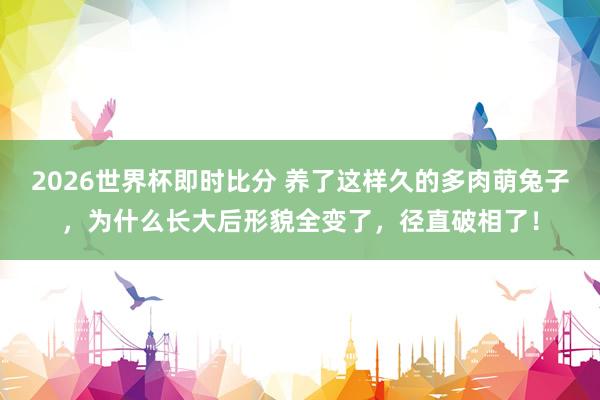 2026世界杯即时比分 养了这样久的多肉萌兔子，为什么长大后形貌全变了，径直破相了！