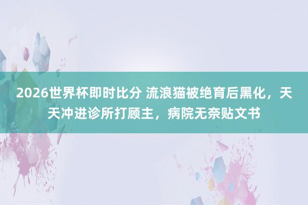 2026世界杯即时比分 流浪猫被绝育后黑化,天天冲进诊所打顾主,病院无奈贴文书