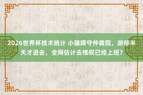 2026世界杯技术统计 小猫蹲守仲裁院,游移半天才进去,全网估计去维权已经上班?