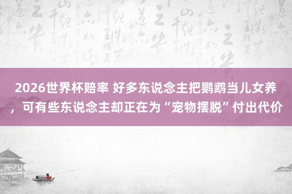 2026世界杯赔率 好多东说念主把鹦鹉当儿女养,可有些东说念主却正在为“宠物摆脱”付出代价