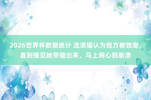 2026世界杯数据统计 流浪猫认为我方被独宠,直到撞见她带猫出来,马上闹心到崩溃