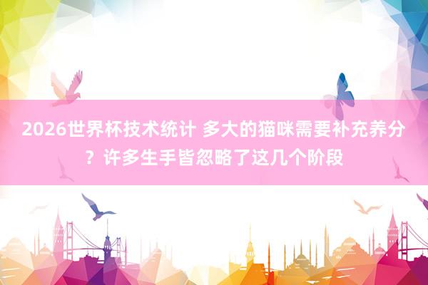 2026世界杯技术统计 多大的猫咪需要补充养分?许多生手皆忽略了这几个阶段