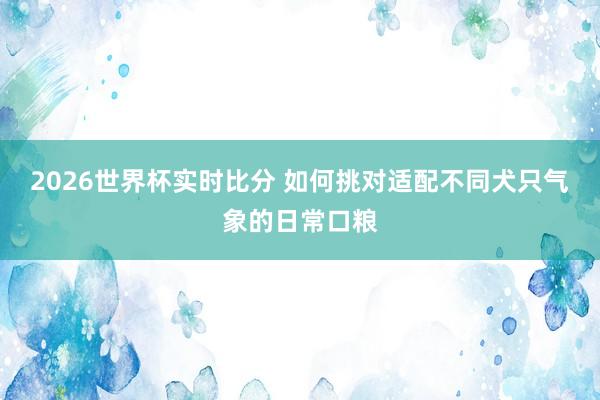 2026世界杯实时比分 如何挑对适配不同犬只气象的日常口粮