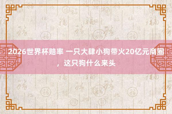 2026世界杯赔率 一只大肆小狗带火20亿元商圈,这只狗什么来头