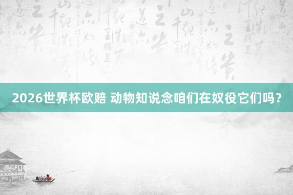 2026世界杯欧赔 动物知说念咱们在奴役它们吗？