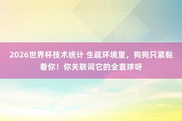 2026世界杯技术统计 生疏环境里,狗狗只紧黏着你!你关联词它的全寰球呀