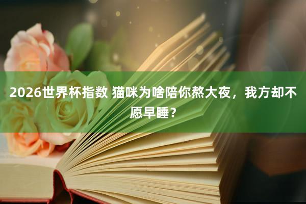 2026世界杯指数 猫咪为啥陪你熬大夜,我方却不愿早睡?