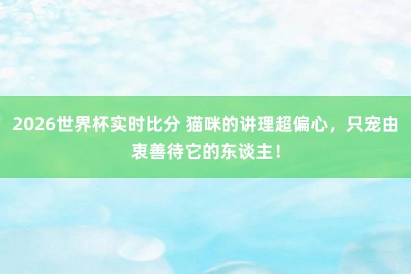 2026世界杯实时比分 猫咪的讲理超偏心,只宠由衷善待它的东谈主!