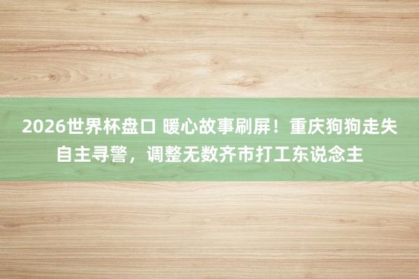 2026世界杯盘口 暖心故事刷屏!重庆狗狗走失自主寻警,调整无数齐市打工东说念主
