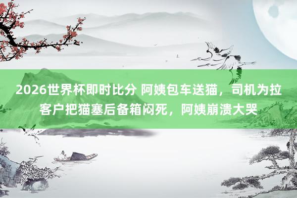 2026世界杯即时比分 阿姨包车送猫，司机为拉客户把猫塞后备箱闷死，阿姨崩溃大哭