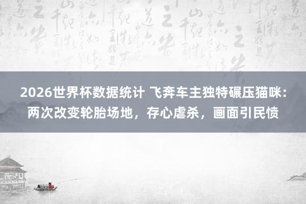 2026世界杯数据统计 飞奔车主独特碾压猫咪:两次改变轮胎场地,存心虐杀,画面引民愤