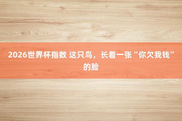2026世界杯指数 这只鸟,长着一张“你欠我钱”的脸