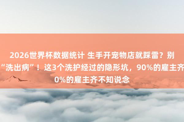 2026世界杯数据统计 生手开宠物店就踩雷?别再让猫咪“洗出病”!这3个洗护经过的隐形坑,90%的雇主齐不知说念