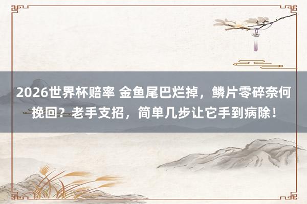 2026世界杯赔率 金鱼尾巴烂掉,鳞片零碎奈何挽回?老手支招,简单几步让它手到病除!