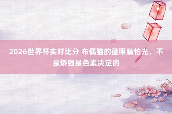2026世界杯实时比分 布偶猫的蓝眼睛怕光,不是矫强是色素决定的
