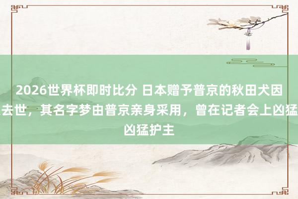 2026世界杯即时比分 日本赠予普京的秋田犬因老大去世，其名字梦由普京亲身采用，曾在记者会上凶猛护主