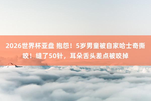 2026世界杯亚盘 抱怨!5岁男童被自家哈士奇撕咬!缝了50针,耳朵舌头差点被咬掉