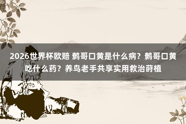 2026世界杯欧赔 鹩哥口黄是什么病?鹩哥口黄吃什么药?养鸟老手共享实用救治莳植