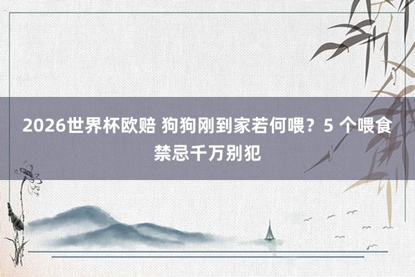 2026世界杯欧赔 狗狗刚到家若何喂?5 个喂食禁忌千万别犯
