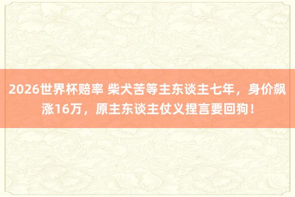 2026世界杯赔率 柴犬苦等主东谈主七年,身价飙涨16万,原主东谈主仗义捏言要回狗!