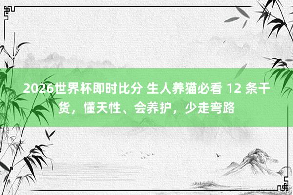 2026世界杯即时比分 生人养猫必看 12 条干货,懂天性、会养护,少走弯路