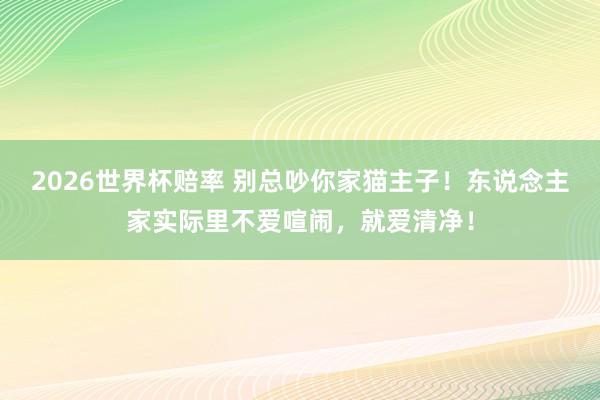 2026世界杯赔率 别总吵你家猫主子!东说念主家实际里不爱喧闹,就爱清净!