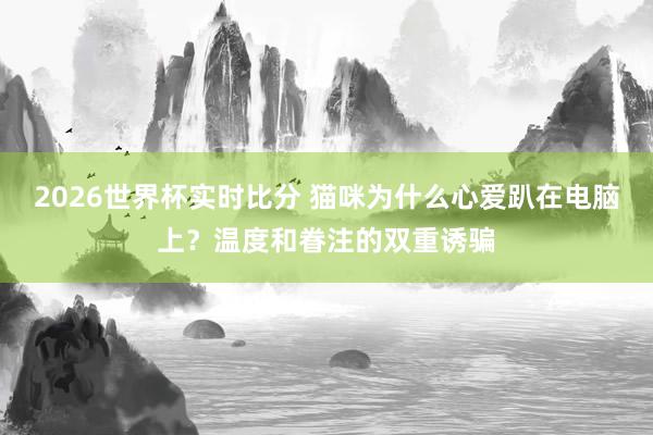 2026世界杯实时比分 猫咪为什么心爱趴在电脑上?温度和眷注的双重诱骗