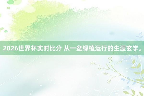 2026世界杯实时比分 从一盆绿植运行的生涯玄学。
