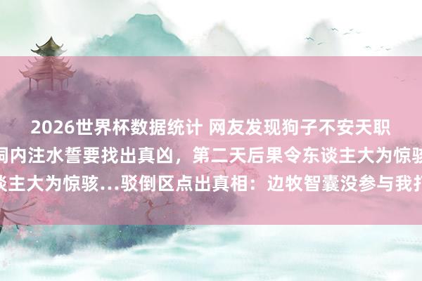 2026世界杯数据统计 网友发现狗子不安天职到处造穴,气得获胜往洞内注水誓要找出真凶,第二天后果令东谈主大为惊骇…驳倒区点出真相:边牧智囊没参与我打死王人不信…