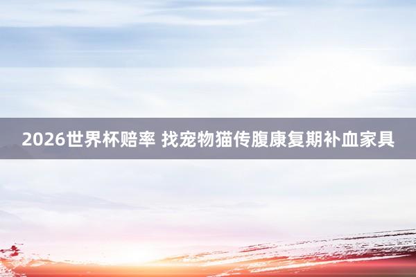 2026世界杯赔率 找宠物猫传腹康复期补血家具