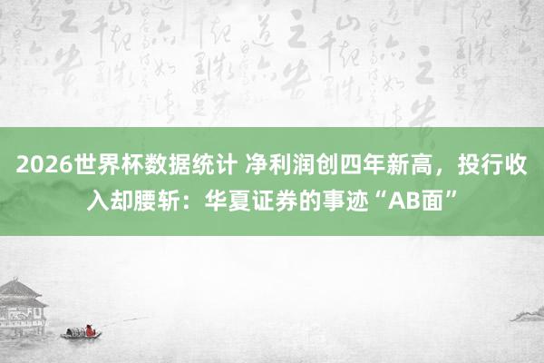 2026世界杯数据统计 净利润创四年新高,投行收入却腰斩:华夏证券的事迹“AB面”