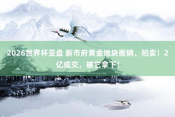 2026世界杯亚盘 新市府黄金地块撤销、拍卖!2亿成交,被它拿下!