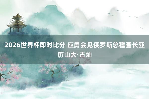 2026世界杯即时比分 应勇会见俄罗斯总稽查长亚历山大·古灿