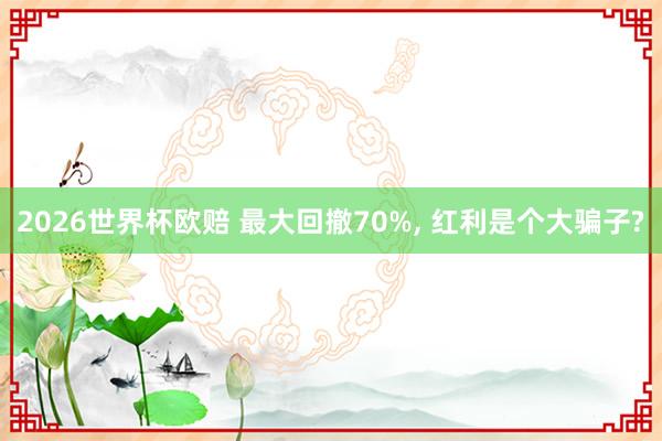 2026世界杯欧赔 最大回撤70%， 红利是个大骗子?