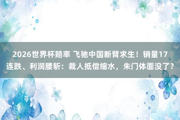 2026世界杯赔率 飞驰中国断臂求生！销量17连跌、利润腰斩：裁人抵偿缩水，朱门体面没了？