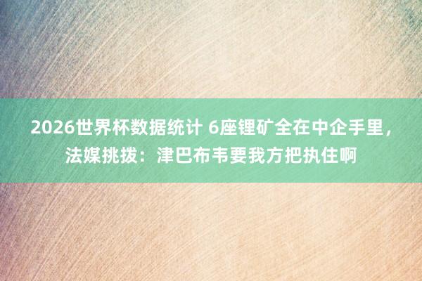 2026世界杯数据统计 6座锂矿全在中企手里,法媒挑拨:津巴布韦要我方把执住啊