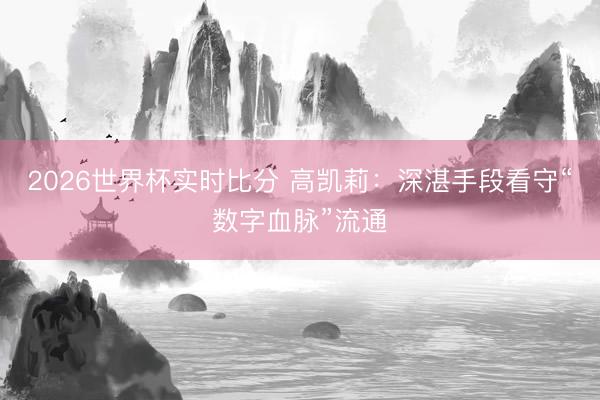 2026世界杯实时比分 高凯莉:深湛手段看守“数字血脉”流通