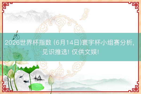 2026世界杯指数 (6月14日)寰宇杯小组赛分析， 见识推选! 仅供文娱!